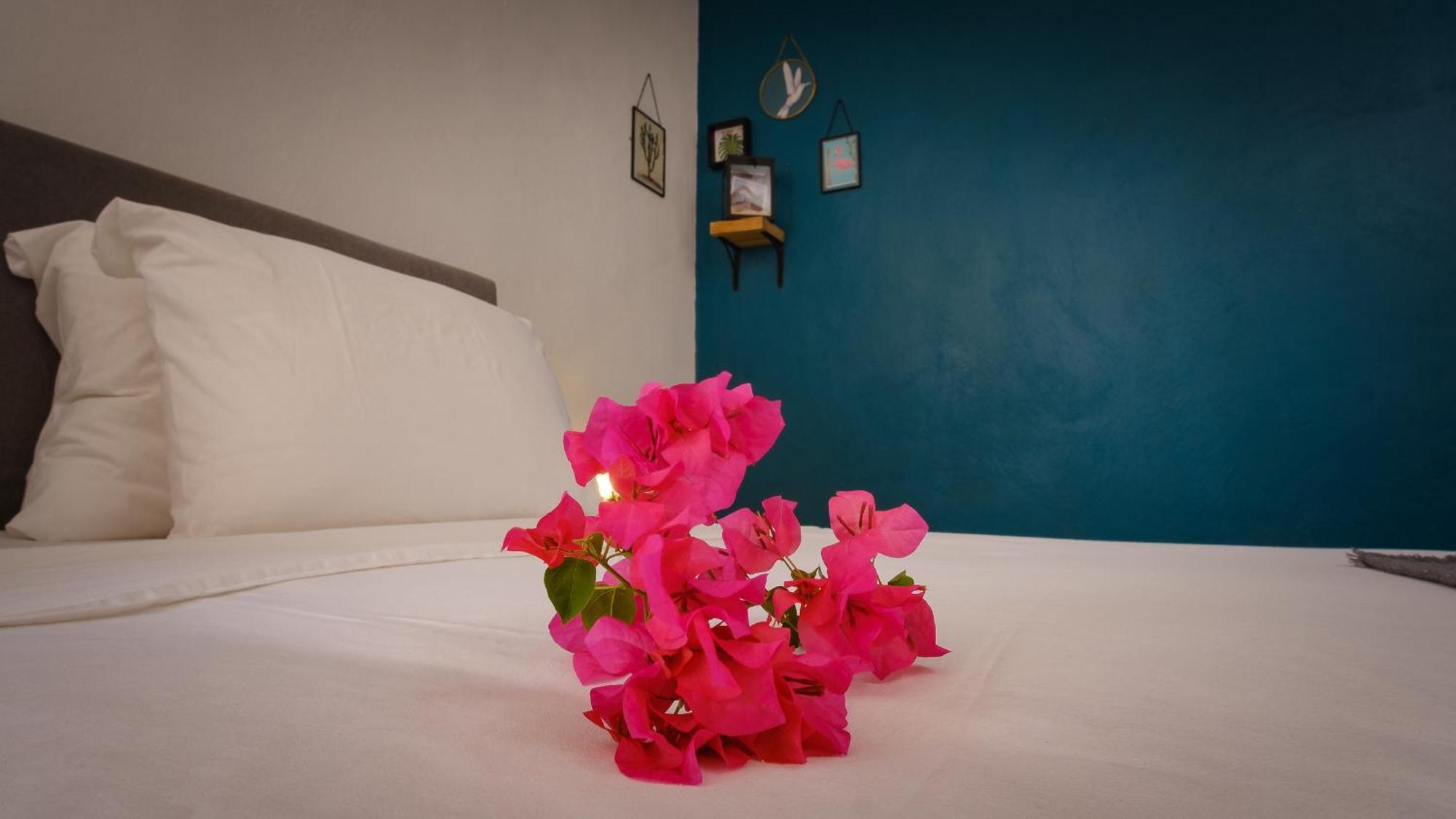 Saint Joris A Tiny Boutique Resort Willemstad Eksteriør bilde